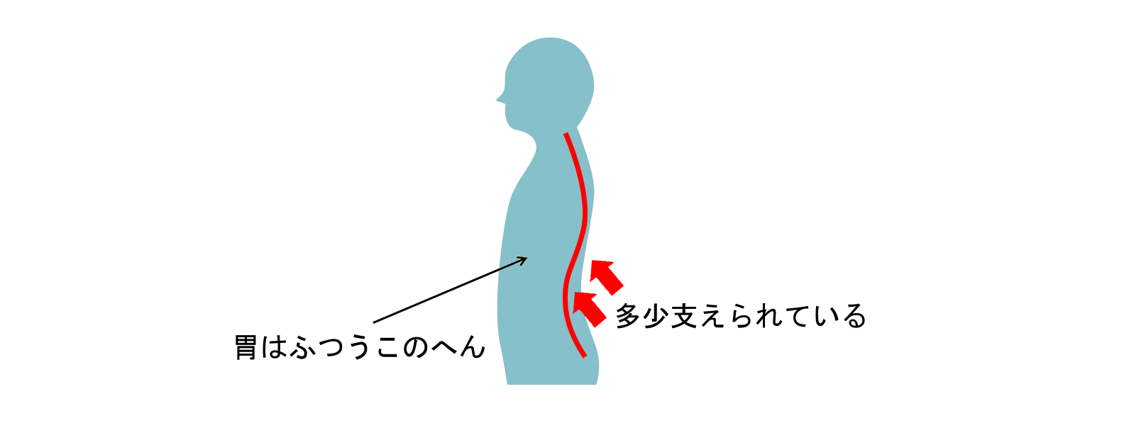 胃と背骨